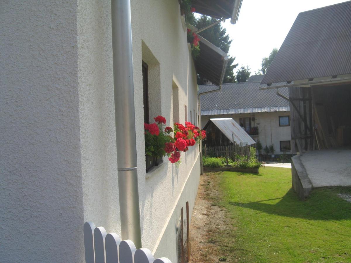 Apartma Tilika Kranjska Gora Luaran gambar